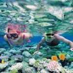 Snorkeling pour découvrir les magnifiques récifs coralliens de la péninsule de Son Tra