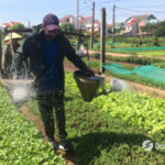 Voyage en famille au Vietnam avec adolescents – 12 jours