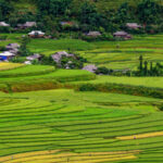 Voyage ethnies Vietnam nord 9 jours