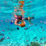 Plongée sous-marine et avec tuba à îles Cham