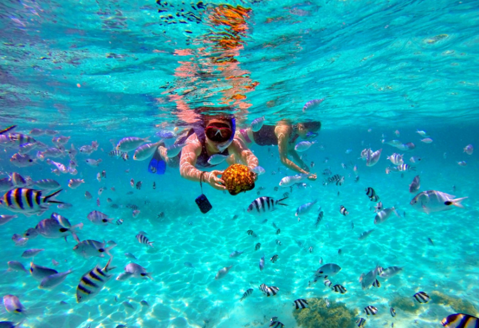 Plongée sous-marine et avec tuba à îles Cham