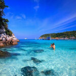 Plongée sous-marine et avec tuba à îles Cham